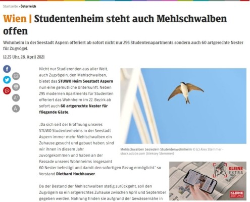 STUWO Studentenheim steht auch Mehlschwalben offen