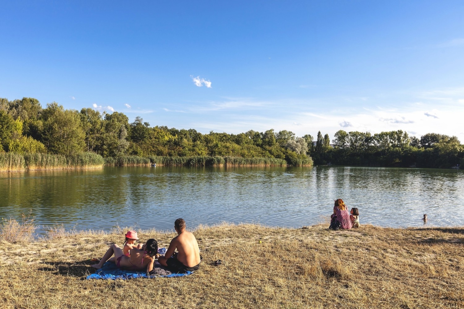 Die 10 schönsten Badeplätze in Wien perfekte Abkühlung STUWO